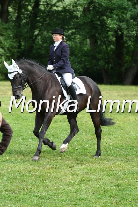 006M4038_Dressur L.JPG